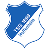 Wappen von TSG Hoffenheim